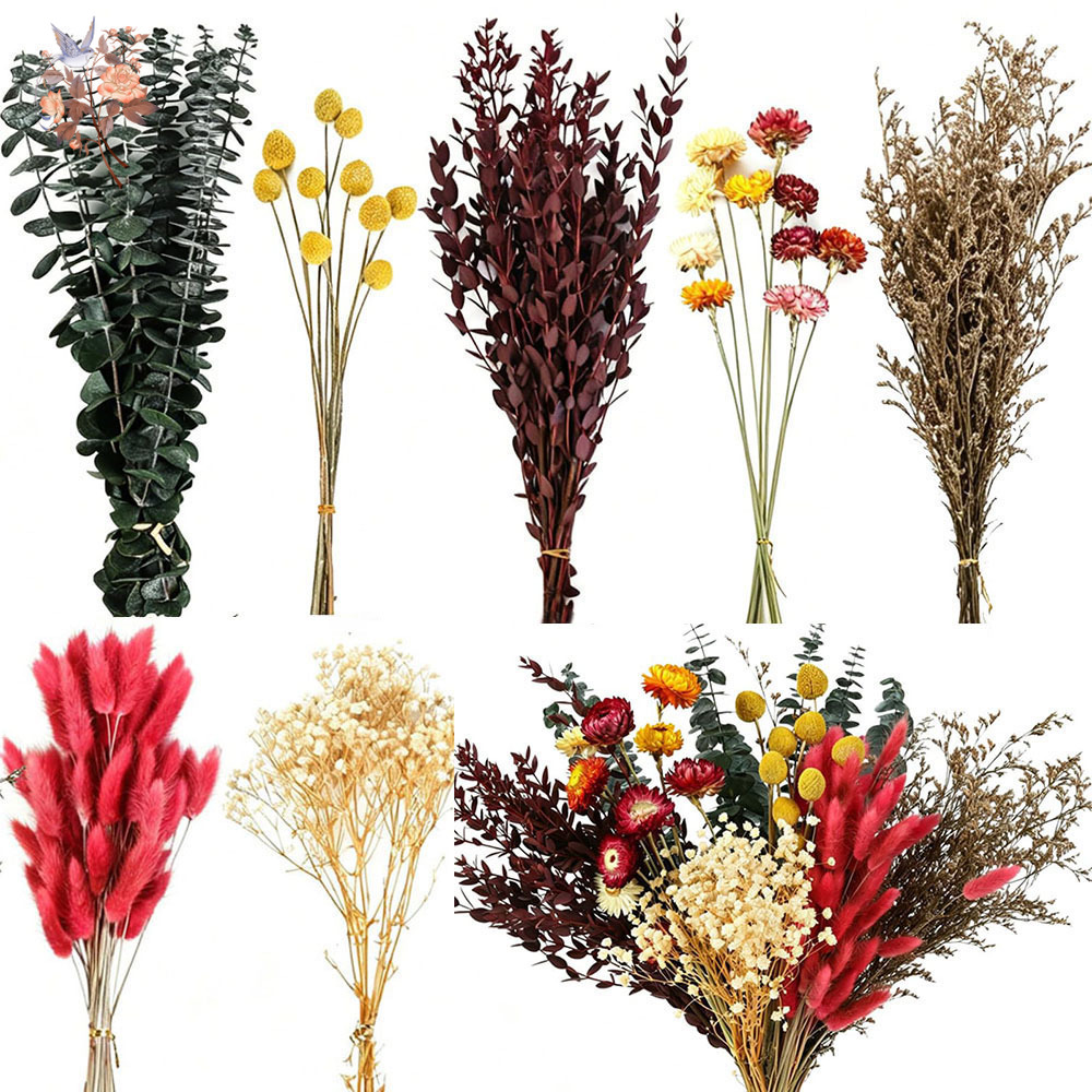 Florist Supply Bulk - Set Bunga Kering dalam Jumlah Besar,