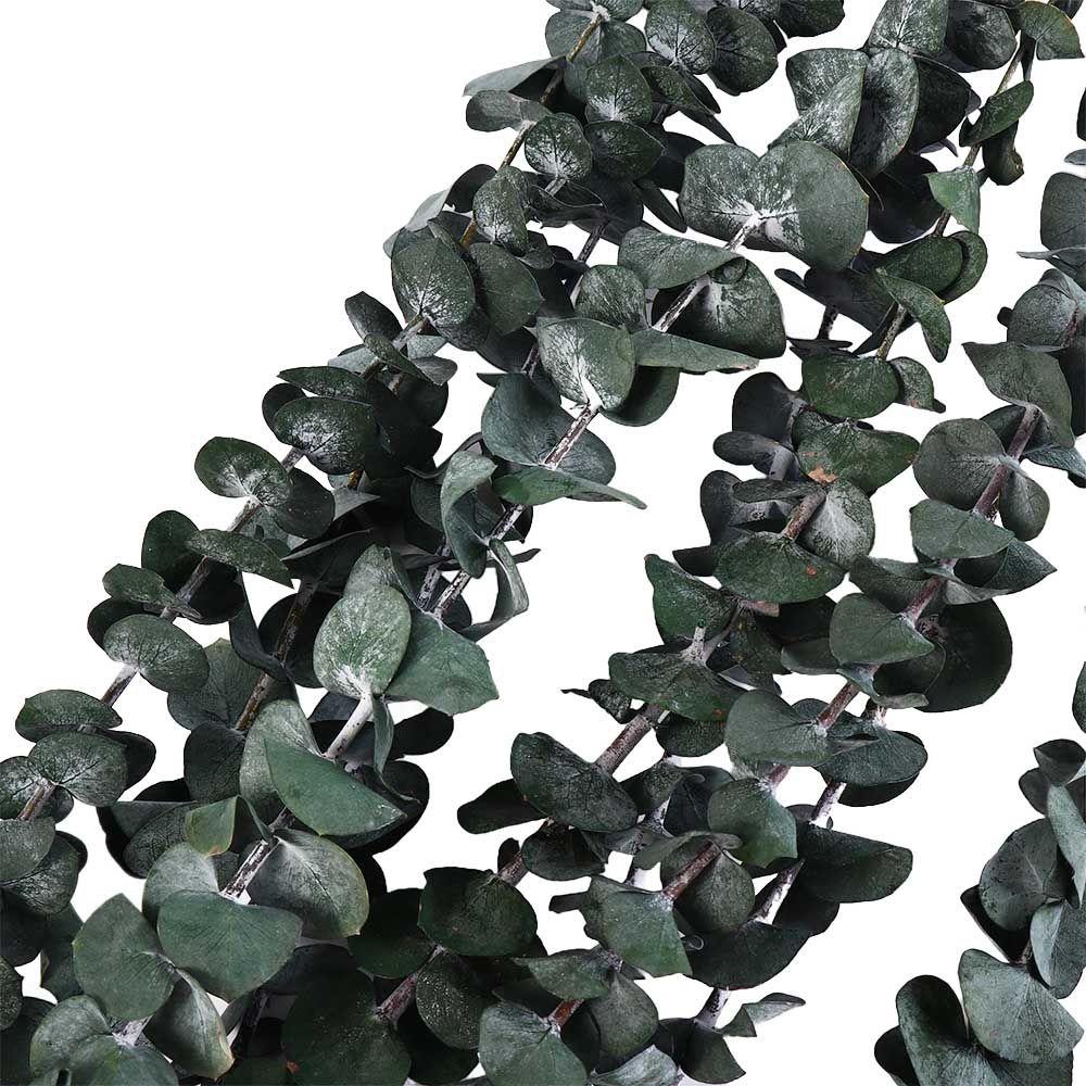 Eucalyptus Preserved - 10 Buah Daun Eucalyptus Kering Asli