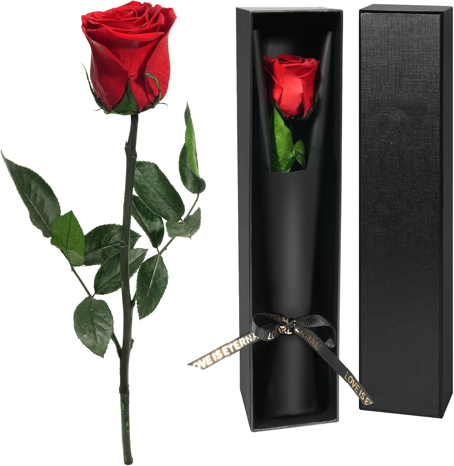 Florist Supply Bulk - Hadiah Mawar Tunggal yang Diawetkan untuk