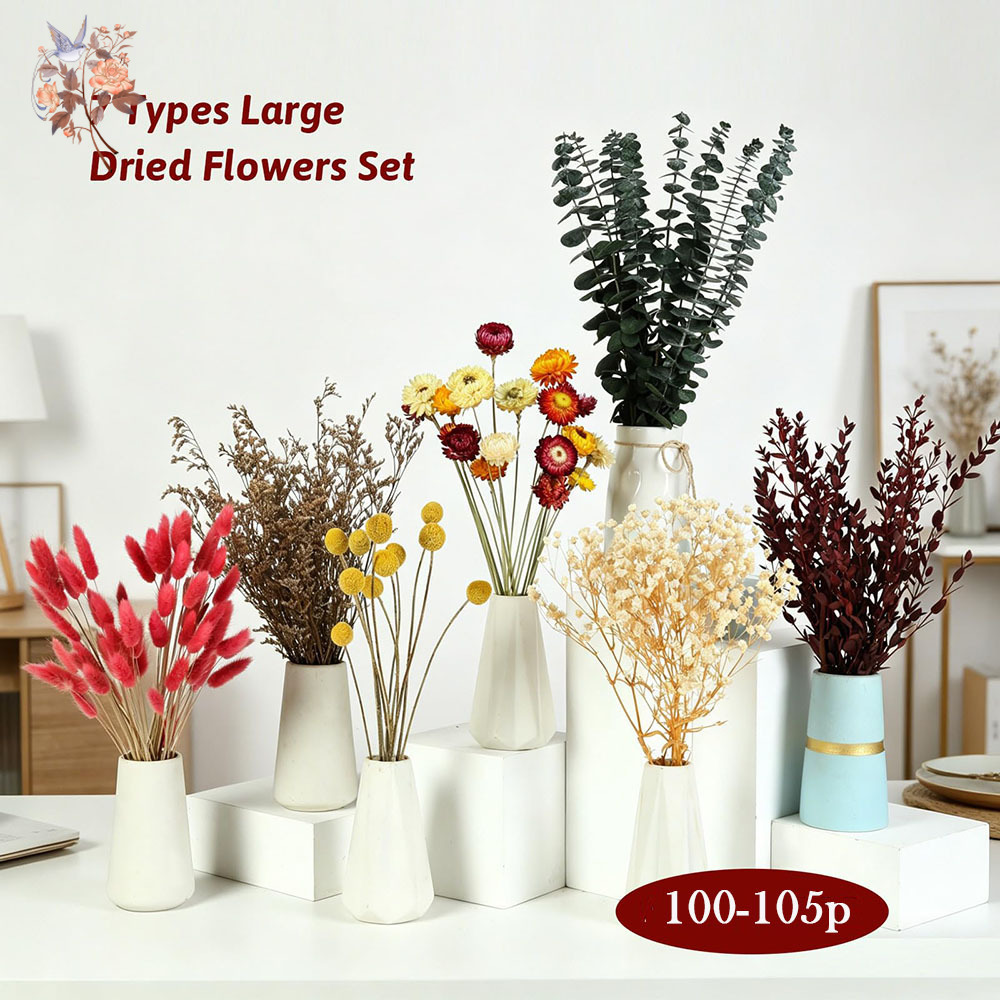 Set Bunga Kering dalam Jumlah  - Florist Supply Bulk ulasan dan harga