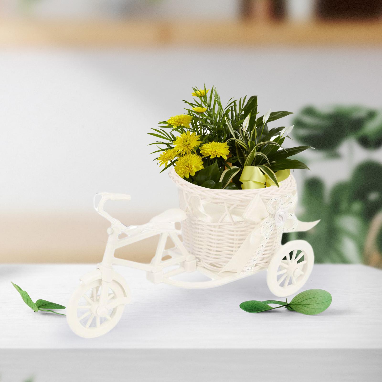 Keranjang bunga buatan bahan s - Florist Supply Vases ulasan dan harga