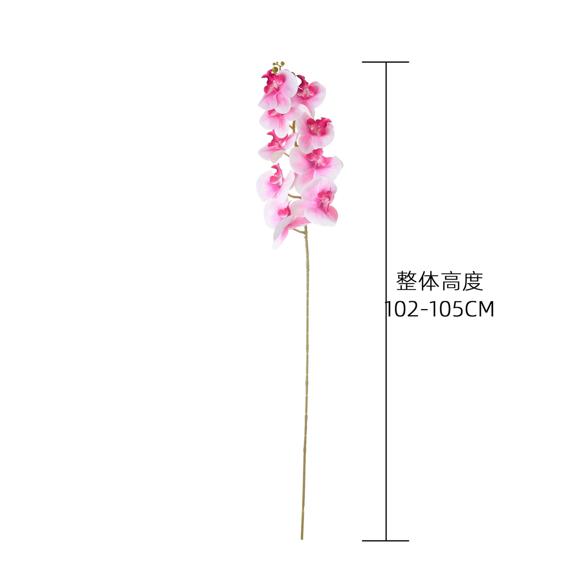 Anggrek Phalaenopsis Buatan Mu - Florist Supply Bulk ulasan dan harga