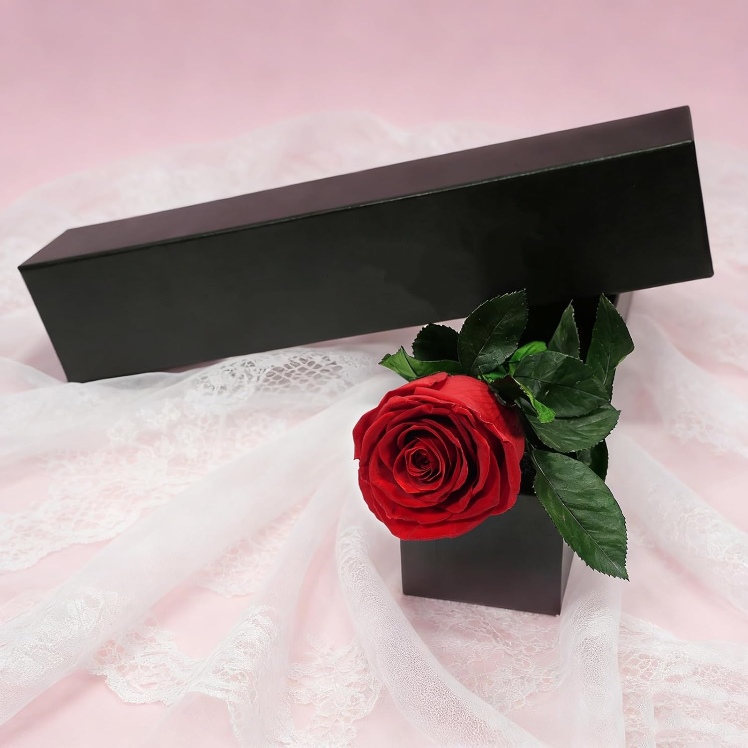 Hadiah Mawar Tunggal yang Diaw - Florist Supply Bulk ulasan dan harga