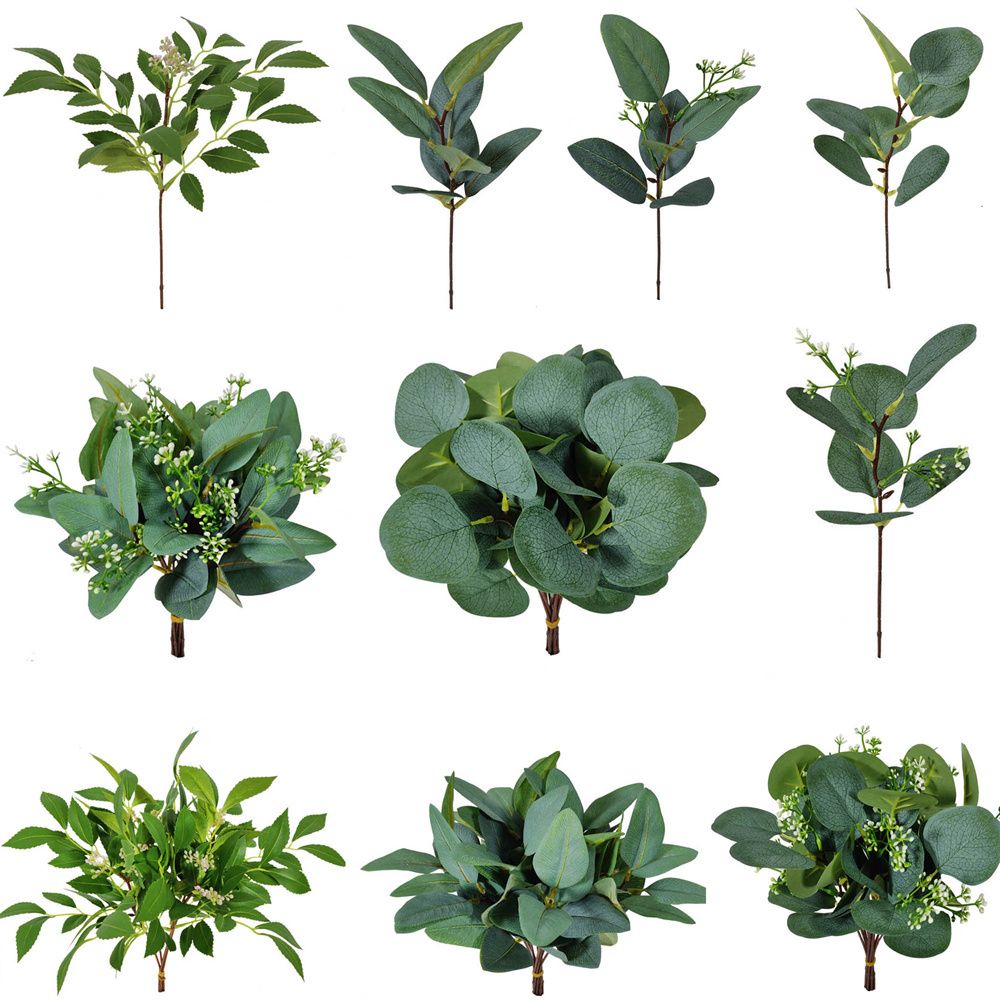 1/10 buah tanaman eukaliptus b - Florist Supply Bulk ulasan dan harga