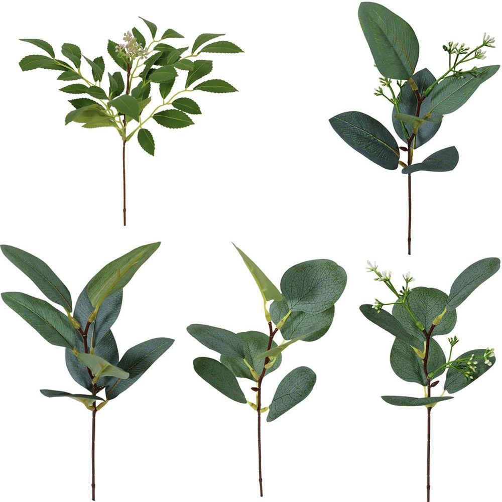 1/10 buah tanaman eukaliptus b - Florist Supply Bulk ulasan dan harga