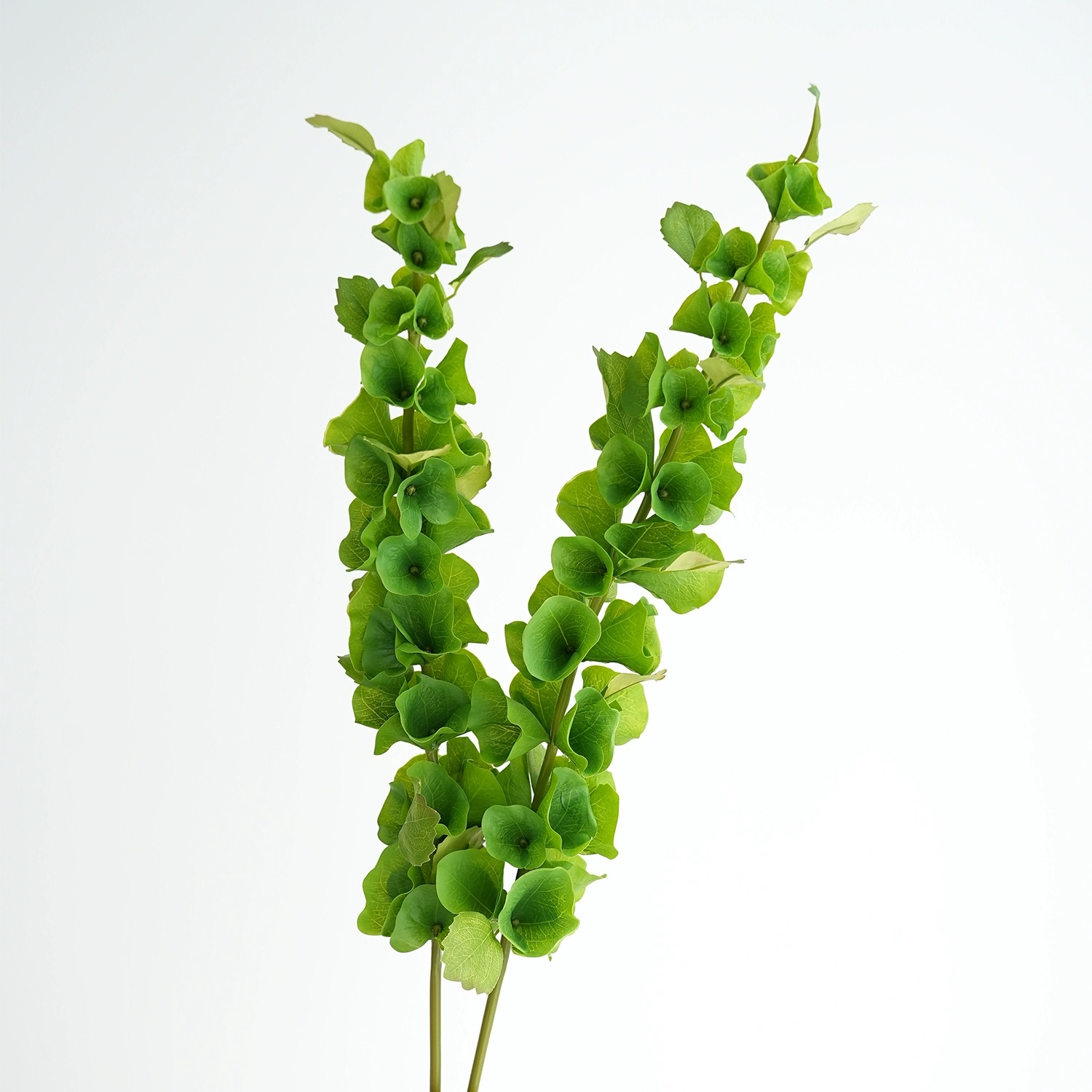 2 Buah Tanaman Hias Plastik Ba - Florist Supply Bulk ulasan dan harga