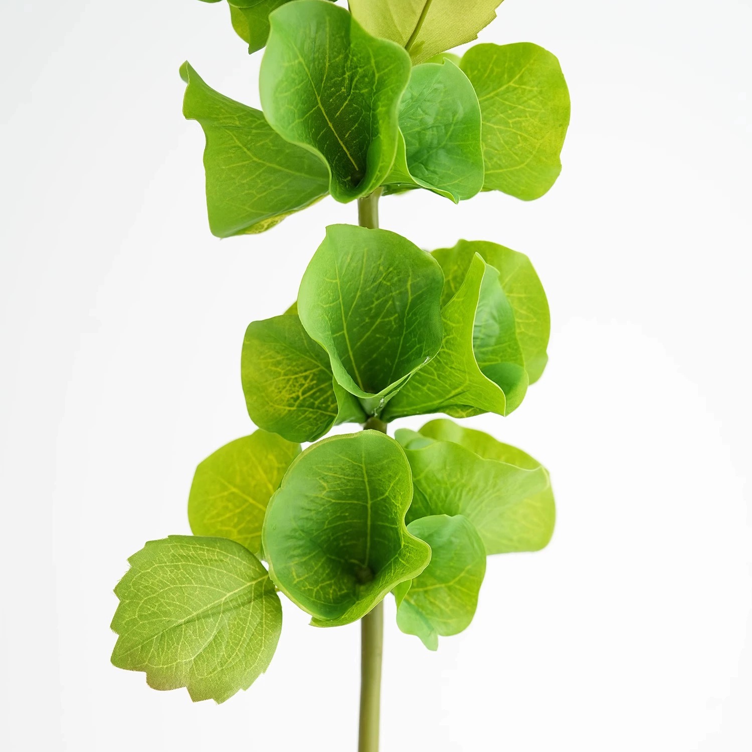 2 Buah Tanaman Hias Plastik Ba - Florist Supply Bulk ulasan dan harga