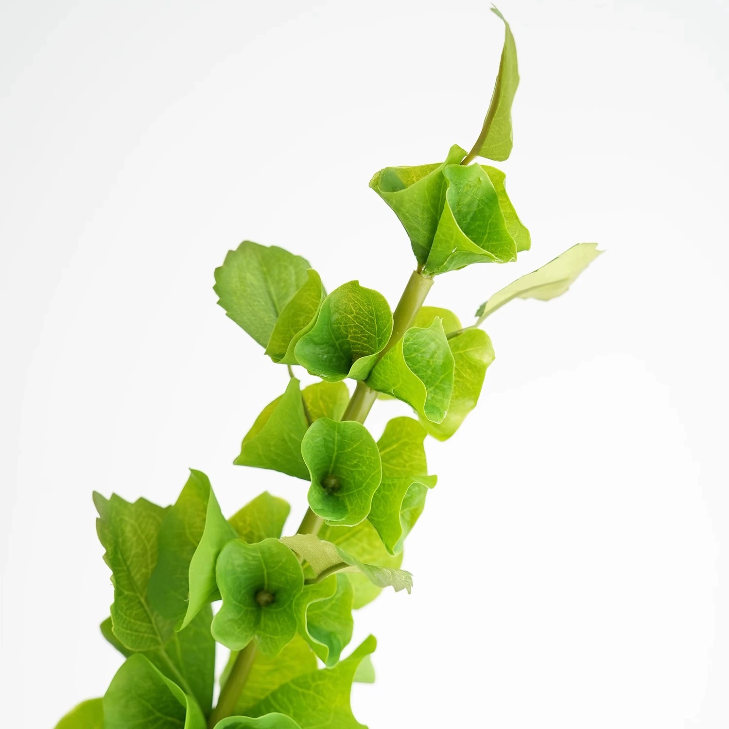 2 Buah Tanaman Hias Plastik Ba - Florist Supply Bulk ulasan dan harga